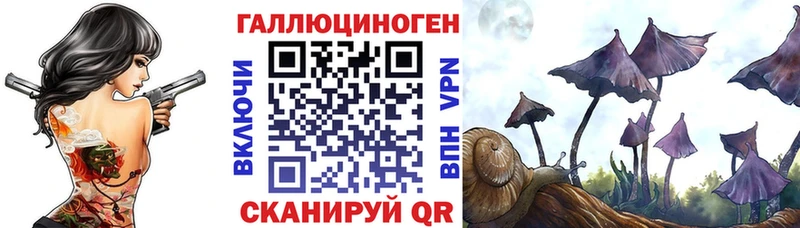 Псилоцибиновые грибы мицелий Рузаевка